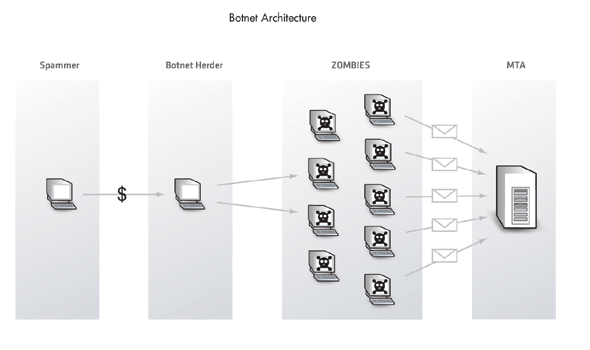 The botnet architecture.