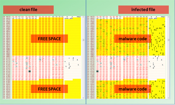 A cavity-infected file using the free spaces.