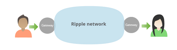 The inner workings of Ripple networks are quite simple and based on the trust held between parties .